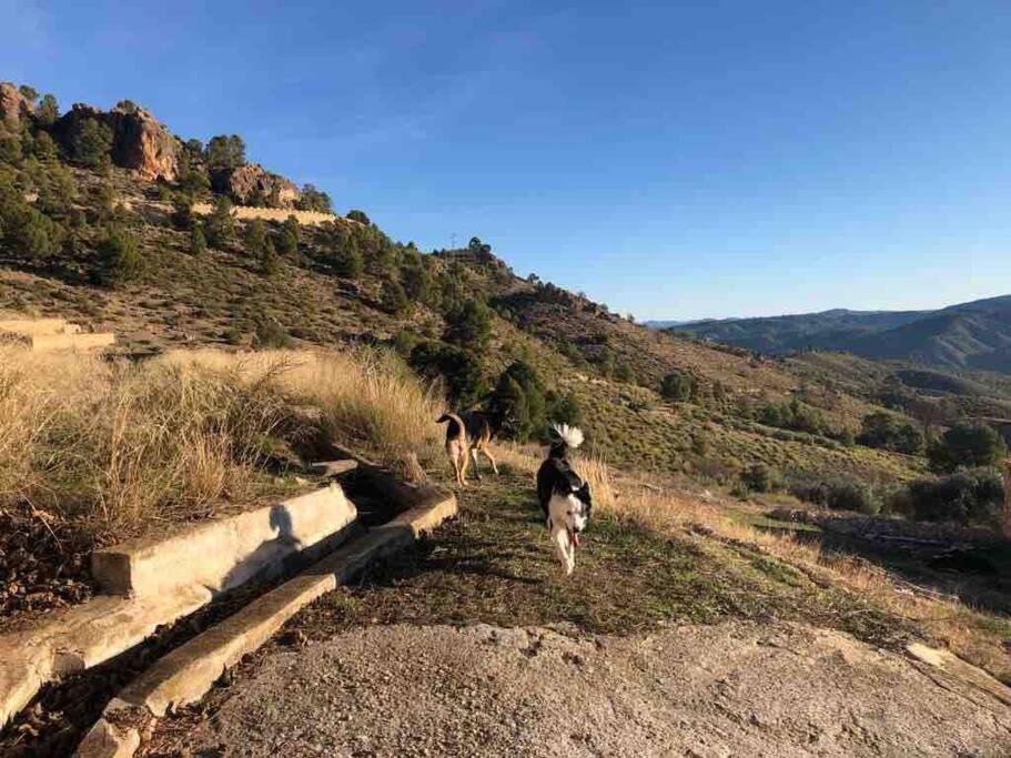 Casa Rural Con Encanto Senorio Manchego Albacete Yeste Bagian luar foto